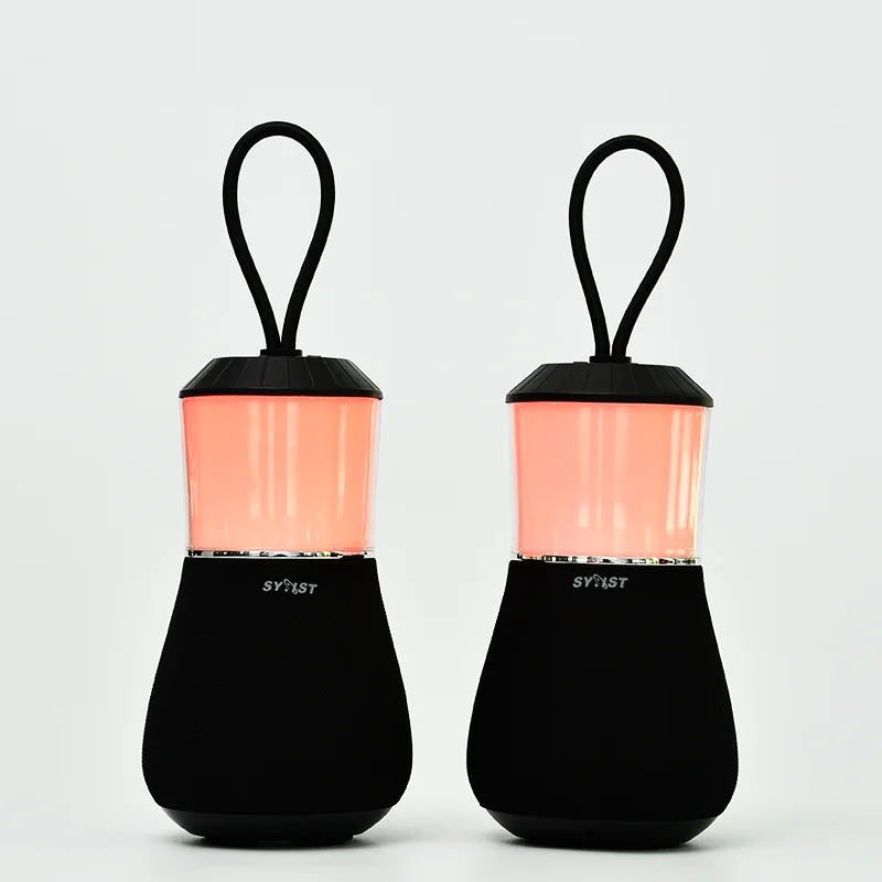 Portable Wireless Orator